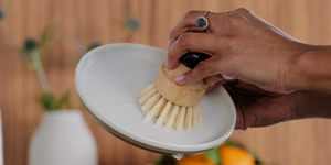 Brush vs. Sponge? Our $ is on Brush.