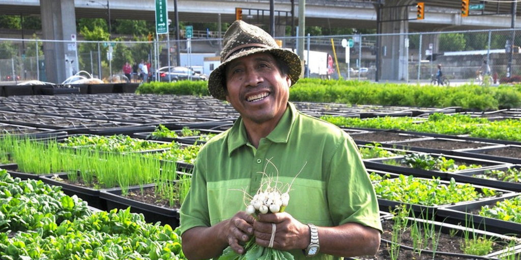 Why we <3 (+ donated) to Sole Food Urban Farms