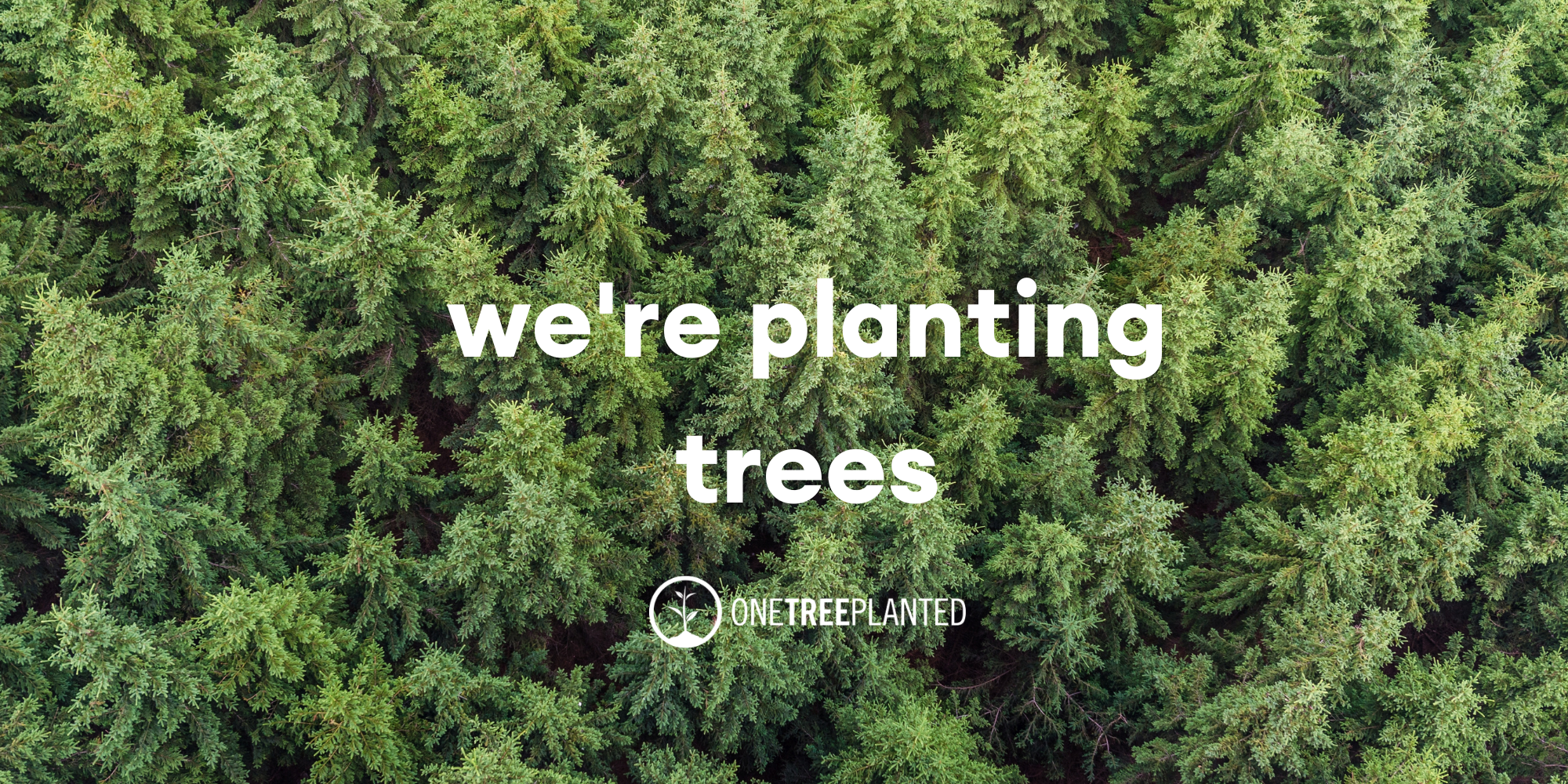 We're planting trees for every order.