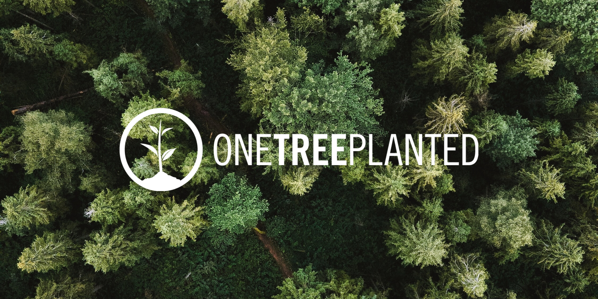 One Tree Planted x Better Basics