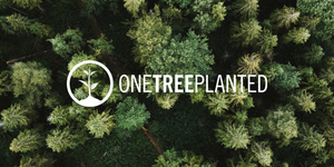 One Tree Planted x Better Basics