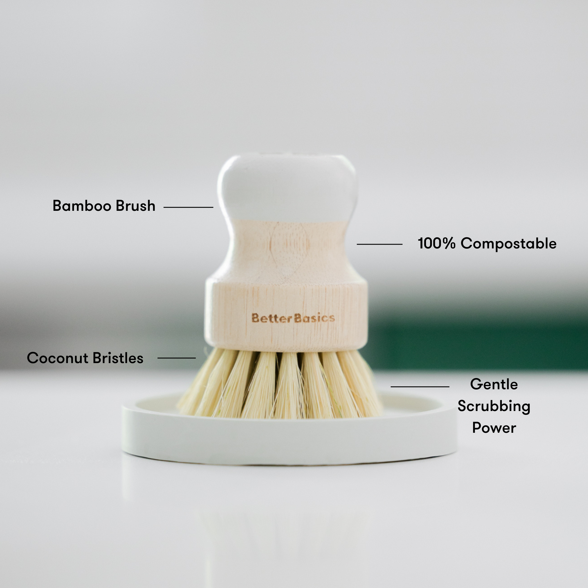 Better Bristles Dish Brush
