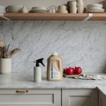 Load image into Gallery viewer, Citrus Spritz Cleaning Spray Starter Kit
